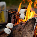 camp fire with marshmallows